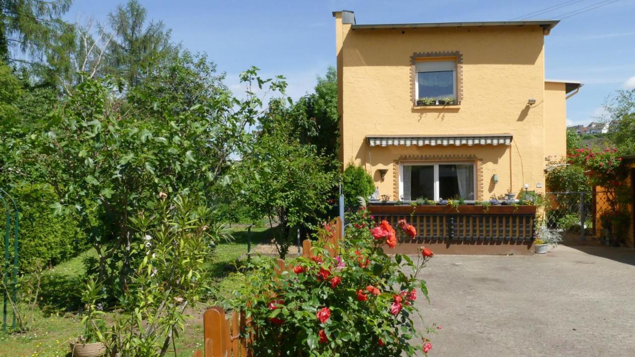 Ferienwohnung Lahnmuendung Mit Kostenlosem Parkplatz Lahnstein Exterior foto